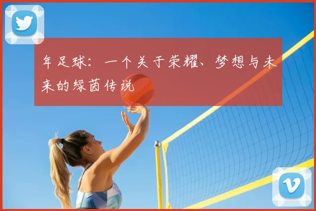 年足球:一个关于荣耀、梦想与未来的绿茵传说
