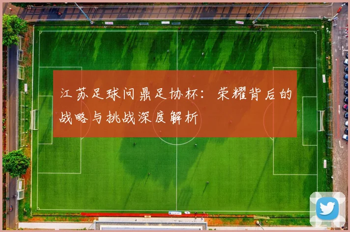 江苏足球问鼎足协杯:荣耀背后的战略与挑战深度解析
